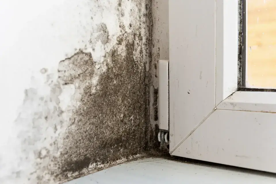 Your Local Des Moines Metro Water Mitigation Experts — Grimes, IA